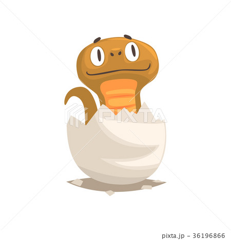 Funny snake baby in broken egg shell 36196866