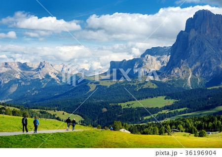 Tourists hiking in Seiser Alm, the largest high altitude Alpine meadow in Europe Tourists hiking in Seiser Alm, the largest high altitude Alpine meadow in Europe 36196904