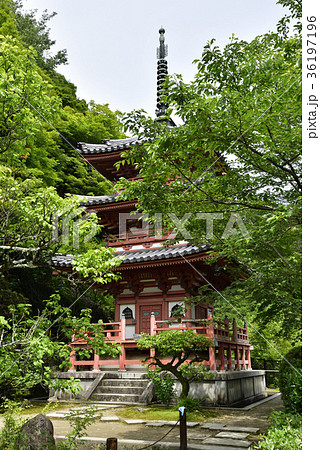 三室戸寺 三重塔 三室戸寺 三重塔 36197196