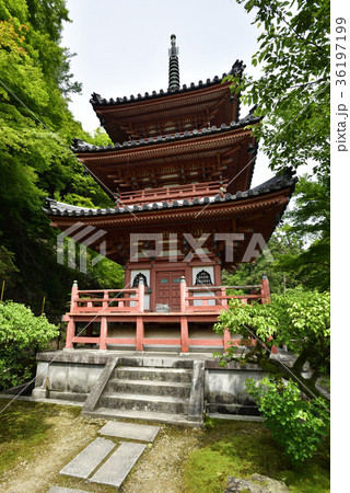 三室戸寺　三重塔 36197199