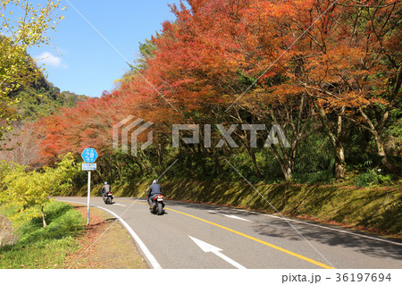 深耶馬渓 県道28号線 秋のひさしモミジ ツーリングイメージ 深耶馬渓 県道28号線 秋のひさしモミジ ツーリングイメージ 36197694