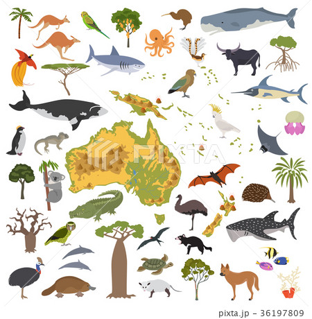 Australia and Oceania flora and fauna map 36197809