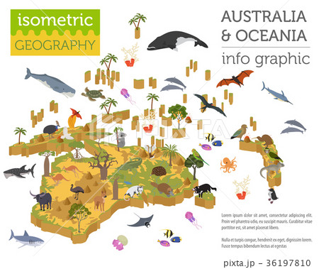 Isometric Australia and Oceania flora and fauna  36197810