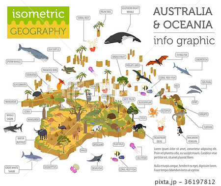 Isometric  Australia and Oceania flora and fauna  36197812