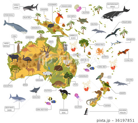 Australia and Oceania flora and fauna map 36197851