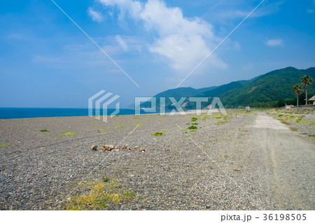 和歌山県 煙樹ヶ浜 36198505