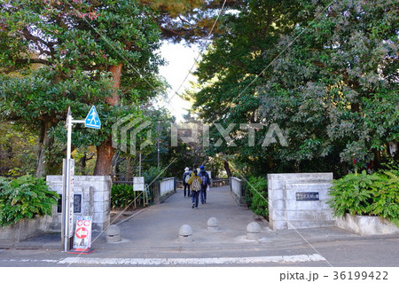 武蔵関公園　練馬区立　東京 36199422