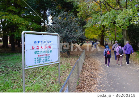 秋の都立小金井公園 36200319