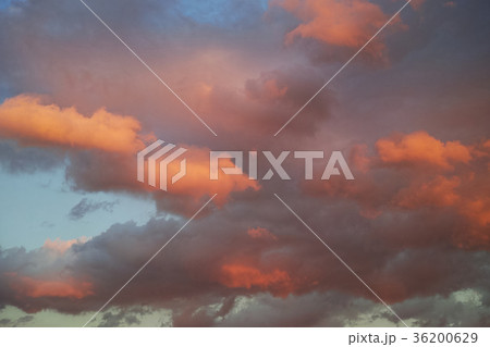 あかね雲 あかね雲 36200629