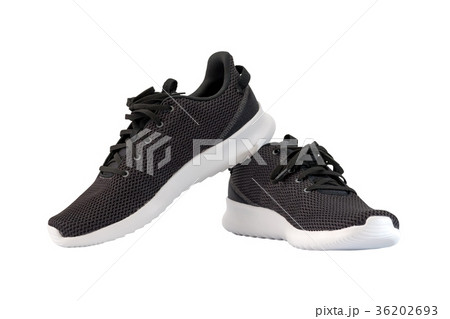 running shoes isolated running shoes isolated 36202693