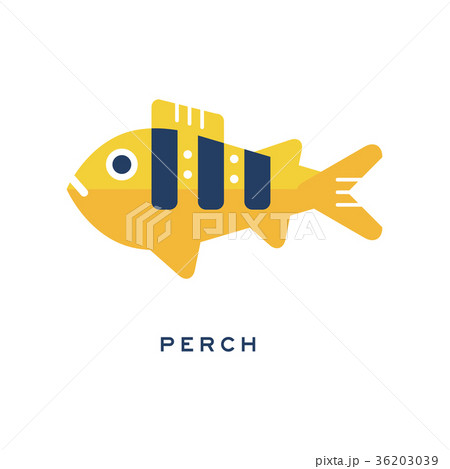 Pike, freshwater fish geometric flat style design 36203039