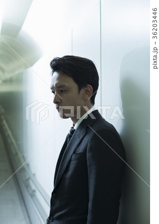 コンセプチュアルビジネス コンセプチュアルビジネス 36203446