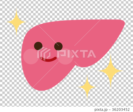 健康な肝臓　臓器　キャラクター 36203452