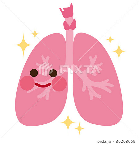 健康な肺 臓器 キャラクターのイラスト素材