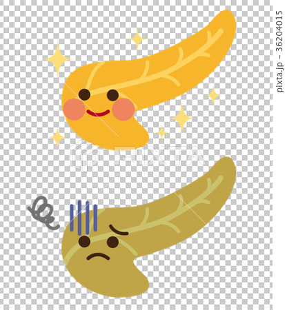 健康な膵臓　弱った膵臓　臓器　キャラクター 36204015