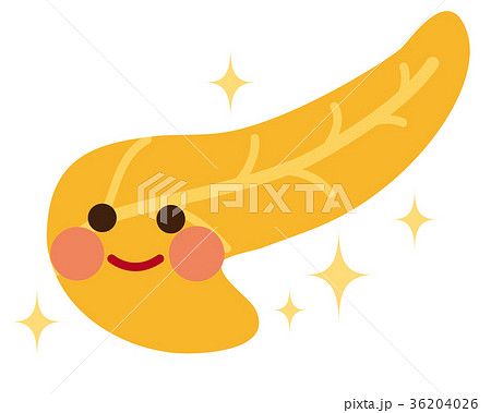 健康な膵臓　臓器　キャラクター 36204026