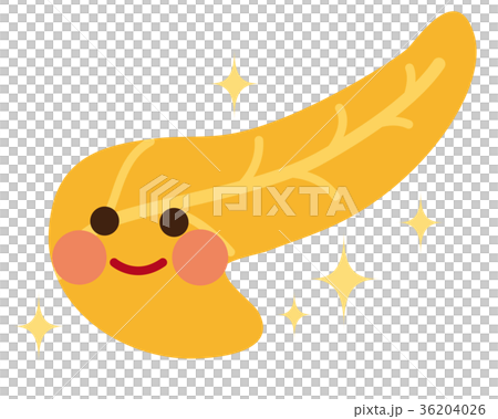 健康な膵臓　臓器　キャラクター 36204026