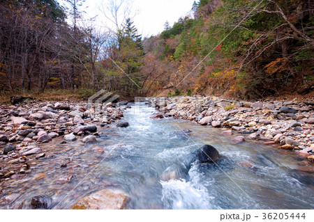 日光市　川俣　湯沢 36205444