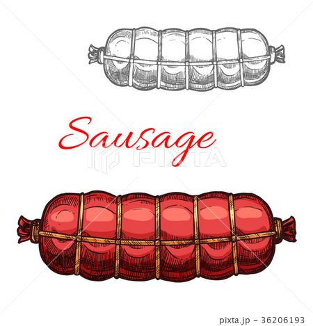 Vector sausage sketch meat icon Vector sausage sketch meat icon 36206193