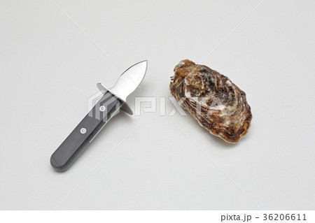 Oyster and Knife 36206611