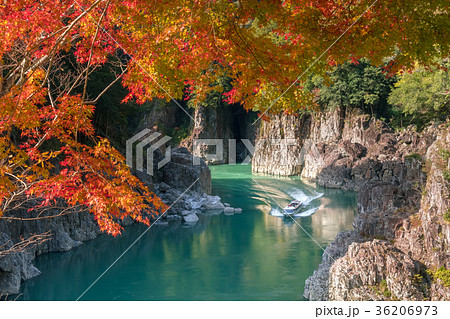 秋の瀞峡 秋の瀞峡 36206973
