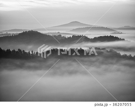 Dreamy landscape lost in thick fog. Fantastic Dreamy landscape lost in thick fog. Fantastic 36207055