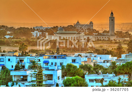 View of Sidi Bou Said and Carthage near Tunis 36207705