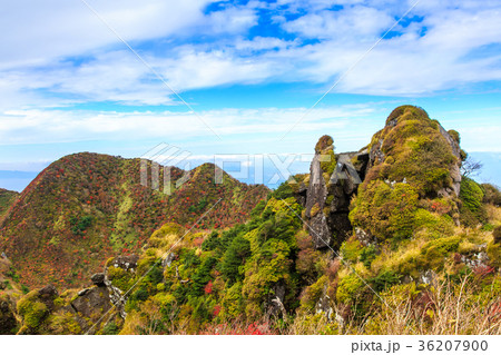 雲仙　立岩の峰の紅葉 36207900