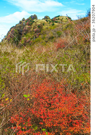 雲仙 立岩の峰の紅葉 雲仙 立岩の峰の紅葉 36207904