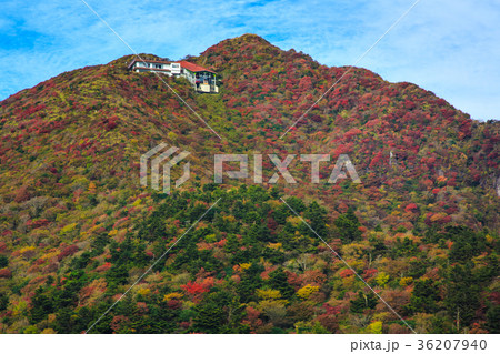 雲仙　仁田峠の紅葉　妙見岳の眺め 36207940