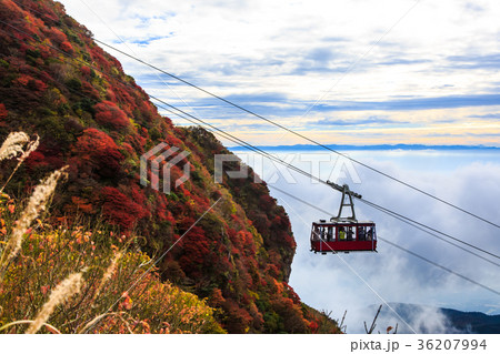 雲仙　妙見岳の紅葉とロープウェイ 36207994