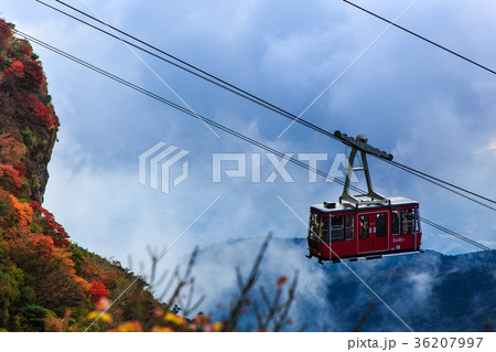 雲仙 妙見岳の紅葉とロープウェイ 雲仙 妙見岳の紅葉とロープウェイ 36207997