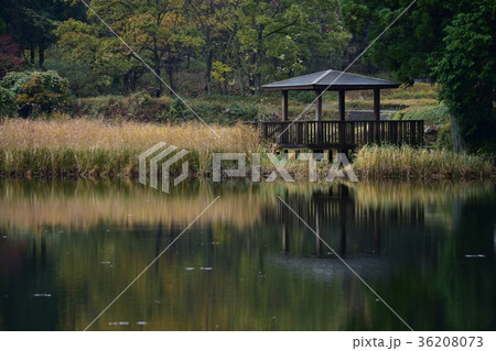 龍王ヶ淵 36208073