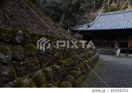 愛宕念仏寺 36208201