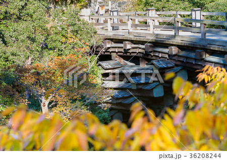 甲斐の猿橋　[山梨県] 36208244