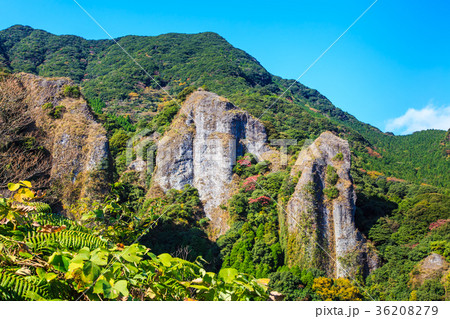 乳待坊の紅葉　佐賀県　武雄市 36208279