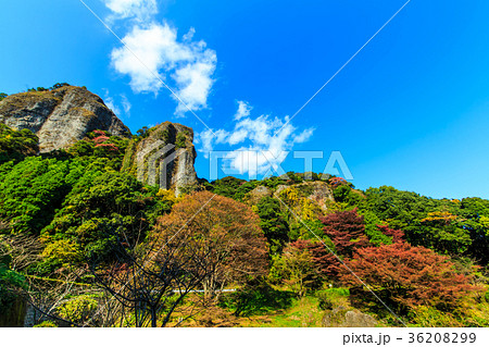 乳待坊の紅葉　佐賀県　武雄市 36208299