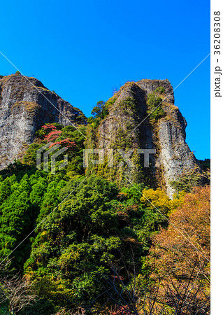 乳待坊の紅葉　佐賀県　武雄市 36208308