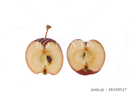 姫リンゴ　（アルプス乙女）　白抜き 36208527