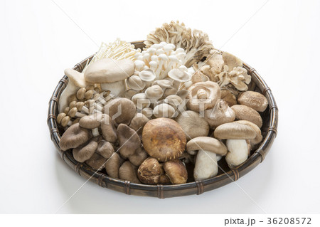 色々なキノコの笊盛り 36208572