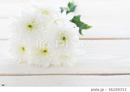white flower on wooden background 36209352