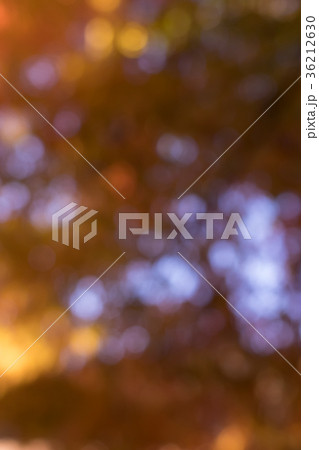 ボケ素材 ボケ素材 36212630