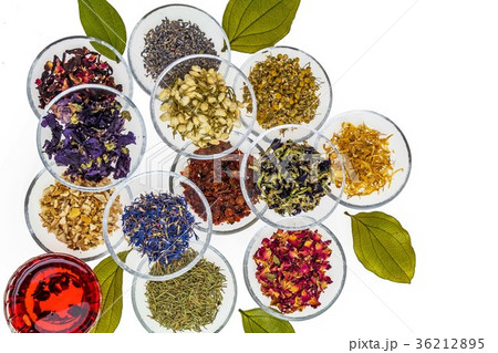 きれいな色のハーブティー　Beautiful color herbal tea 36212895