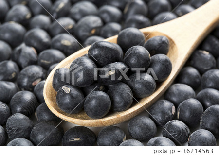 丹波の黒豆 36214563