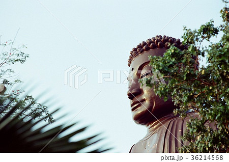 台湾 彰化 仏 36214568