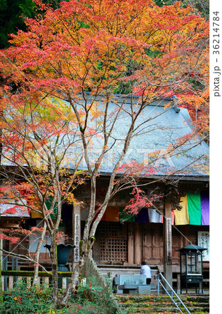定福寺 36214784