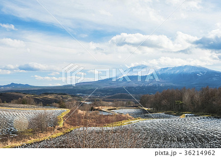 初冬の浅間山と畑 36214962