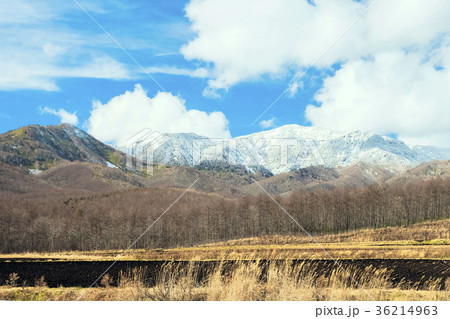 雪の四阿山 36214963