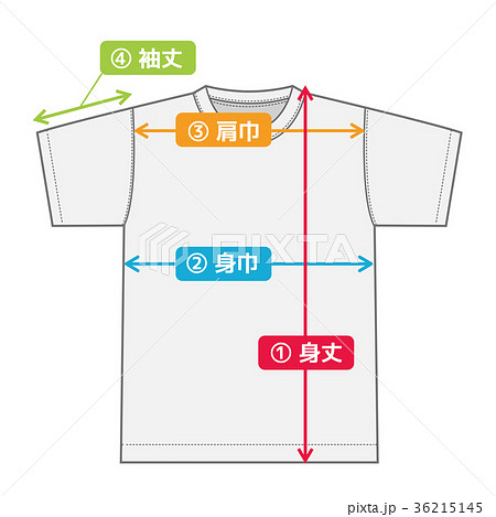半袖tシャツ 寸法表 サイズ表用イメージイラスト カラーバージョン のイラスト素材