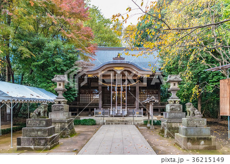 石神井氷川神社　東京　石神井公園 36215149